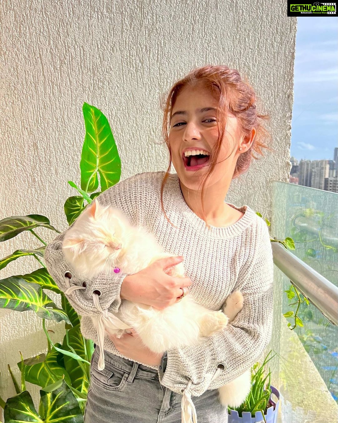 Arishfa Khan Instagram - You are my FURshine!! 🐾☀️💖