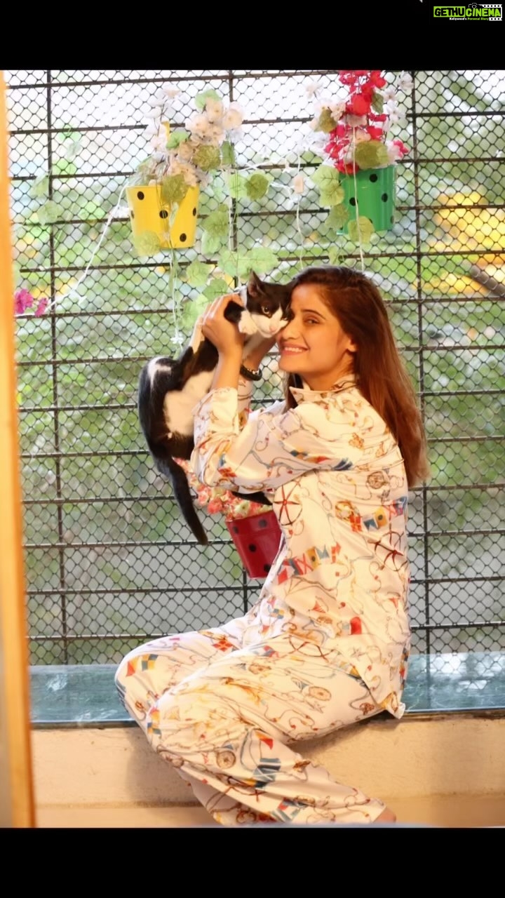Arti Singh Instagram - Happy birthday to my little angels tunni Munni chunni ❤️13 dec my building cat (RANI) came and gave birth in my house. Well I hv never been a cat person . But this was written .Some said leave them on road .Some said leave them in building .but my heart was too weak to do this . My soul dint allow. And they became part of my life . I look forward coming home. My lonely nights hv become noisy one 🤓as they try to play at odd ours . God send u these angel to take away your stress . To give u company . I’m blessed god has given me so much tht I can take care of them and feed them. Grateful for everyday I spend with them . Please take care of these angels who can’t talk and can’t express . Least u can do ❤️ even these are his children ❤️ Wearing @manmeera Clicked by @iam_kunalverma