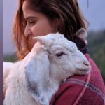 Arti Singh Instagram – If it costs your peace ,it’s too expensive 🙌