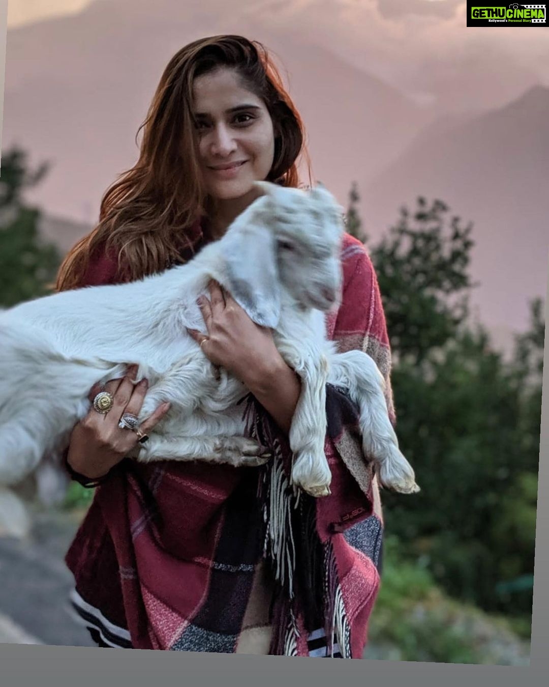 Arti Singh Instagram - If it costs your peace ,itโs too expensive ๐