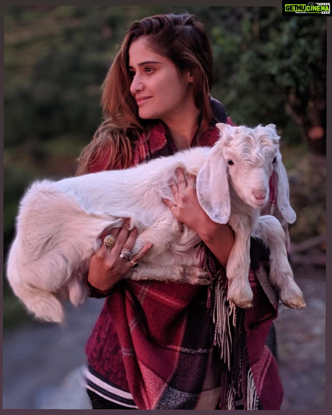 Arti Singh Instagram - If it costs your peace ,itโs too expensive ๐