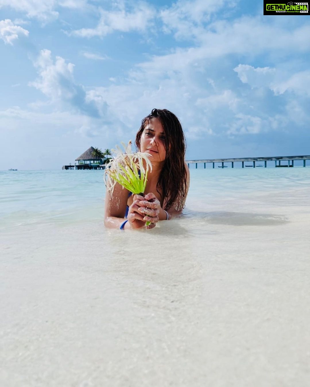 Arti Singh Instagram - Memories says take me back