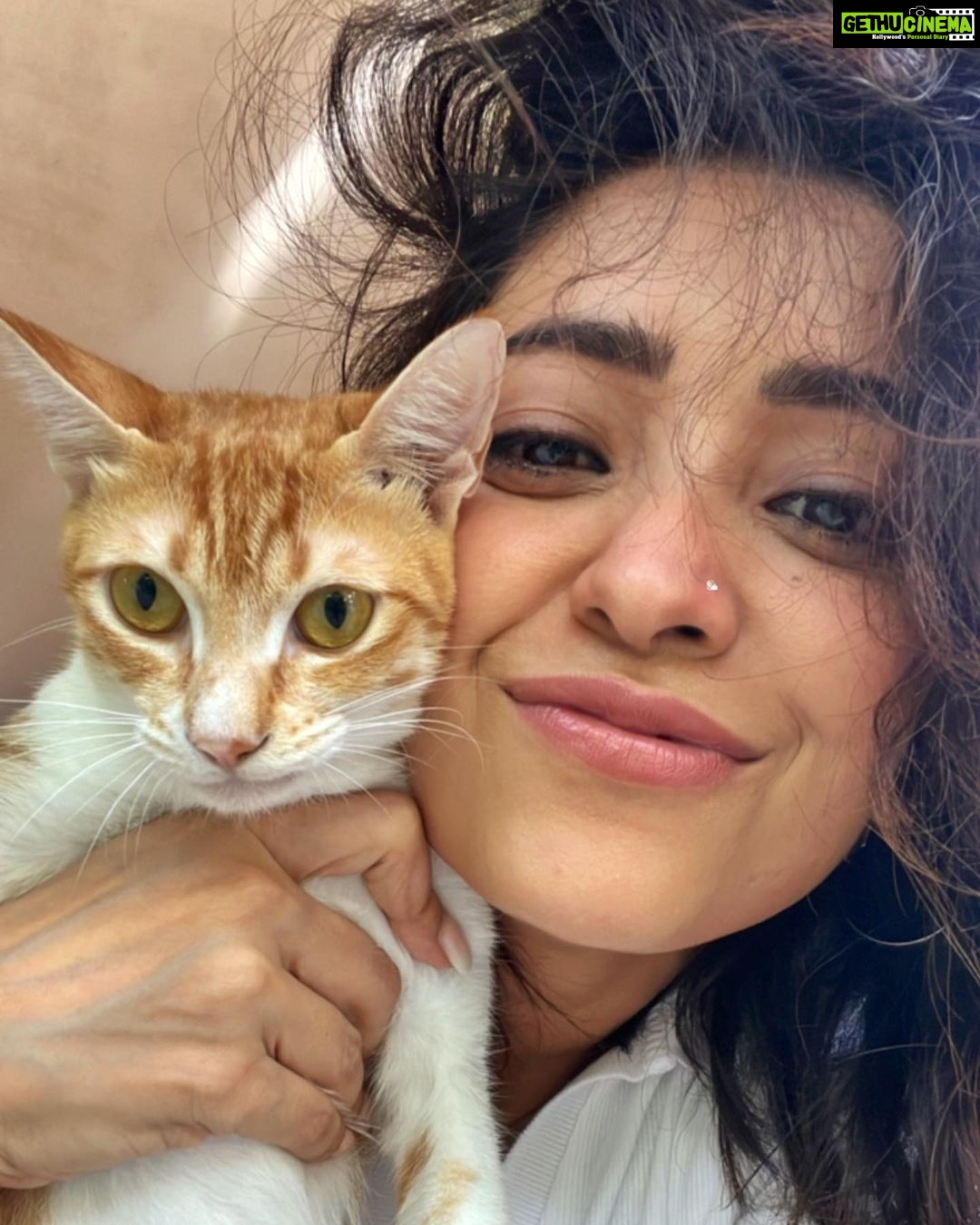 Asha Negi Instagram - That goddamn smirk! Bitches come and go bro!😼😼😼 #SundayDump