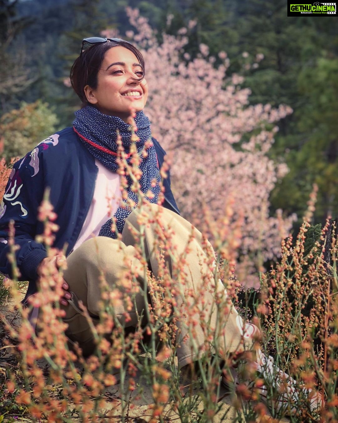 Asha Negi Instagram - Daydreamer..💕💕💕✨☀️ . . #forever