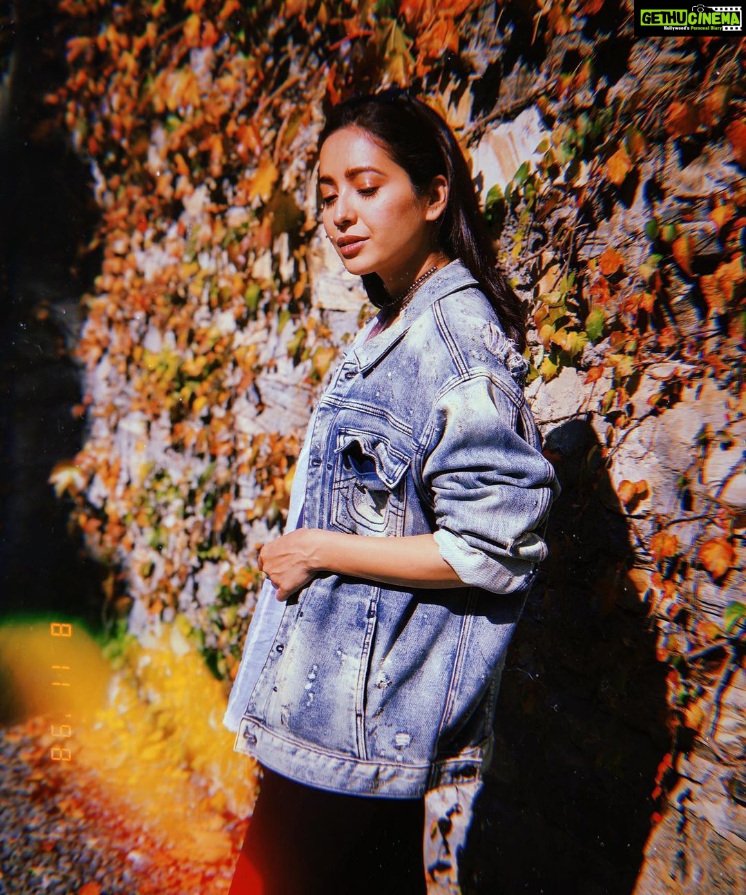 Asha Negi Instagram - a November to remember🍂🍁✨ . . #autumnmood Chail, Himachal Pradesh