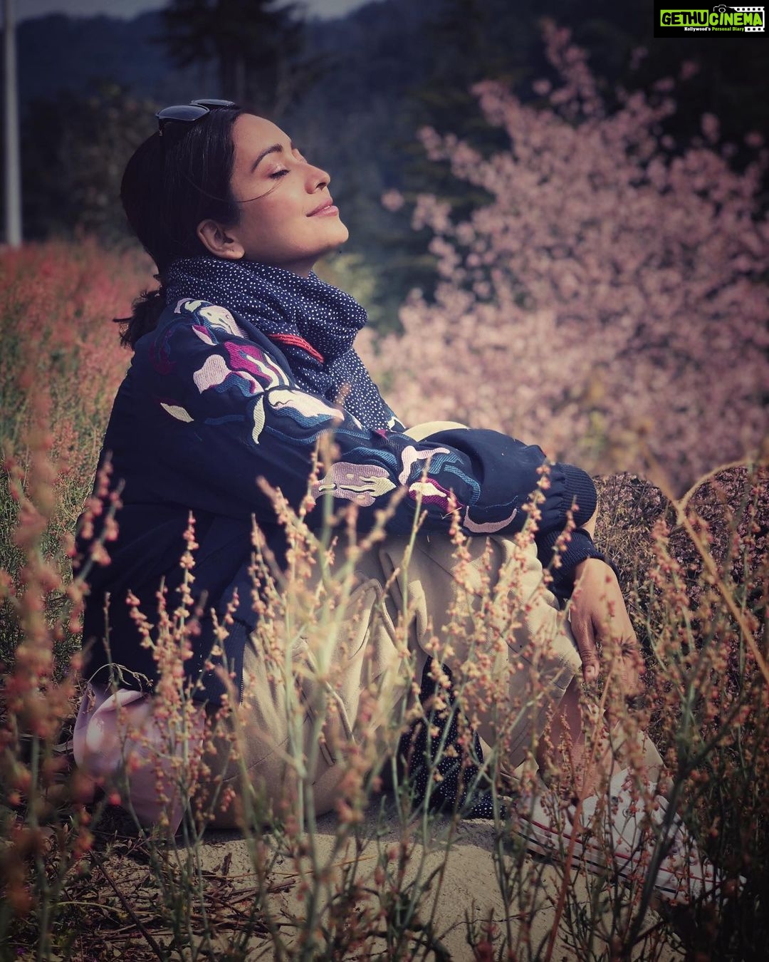 Asha Negi Instagram - PROTECT YOUR PEACE💕🕊