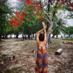 Ashi Singh Instagram – It takes whole heart and soul to be yourself…… not just lost but found in own self. ♥️
📸~ @naturepaparazzo 
Caption: @afsha_ansari96 James Bond Island, Phuket