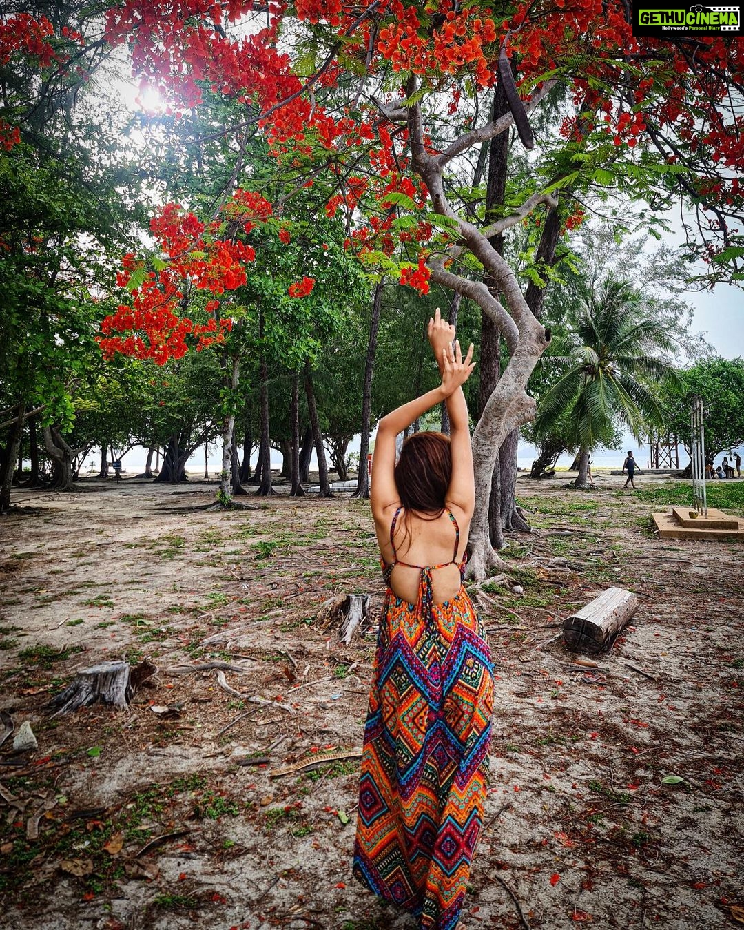 Ashi Singh Instagram - It takes whole heart and soul to be yourself…… not just lost but found in own self. ♥️ 📸~ @naturepaparazzo Caption: @afsha_ansari96 James Bond Island, Phuket