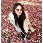 Avantika Khatri Instagram - 🍂🍁 Autumn - The Season Where Every Leaf Is A Flower ! ..What did one leaf say to the other? I’m falling for you. ❤️🧡💛😍 Autumn shows us how beautiful it is to let things go. There is something so special in the early leaves drifting from the trees.. as if we are allowed a chance to peel, to refresh, to start again. Love Love Love Autumn ! 🍁🍂 . #KudiAK #autumn #season #colors #love #chicago #usa #autumnleaves #windycity #postcard #leaves #happygirl #autumnvibes #trenchcoat #bag #streetwearfashion #smileface #boots #mittens #trees #winterwear #travel #makesmesmile #globetrotters #actress #filmmaker #producer #celebrity #avantikakhattrilatestpics #avantikakhattri @directors_visions @avantikakhattri Chicago,U.S.A