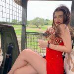 Benafsha Soonawalla Instagram - Straight from a shoot into like one of the most beautiful places ever, the JUNGLE! I felt like I lived my childhood through this. Flashbacks of all the little books we’d read as kids about the jungle and I felt like I was LIVING it. They posed for me like supermodels!! I already felt real bad about disturbing them but they just made it all so beautiful and lightened that thought up. They really do enjoy posing, they’re actual stars and way above the whole human race!! They’re so damn cool they mostly sleep while we’re there cause of their circle but sometimes even smile back. Also their vibe their stance. They’re mad hot. ❤️❤️❤️ AAAH. I think as I grow up, I’ve gotten slightly more understanding, VERY grateful for love and good vibes, I’ve started becoming a complete animal lover. I never did own a pet and had a slightly bad experience getting bitten as a kid but oh this is a wonderful world. And they’re so cool. They’re wonderful. And allll heart they’re all heart!!🤍 That’s it. I’m addicted. South Africa here I come. #safari #animals #animalsofinstagram #lovelovelovelove Gir Forest