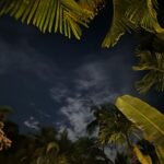 Benafsha Soonawalla Instagram - Goa