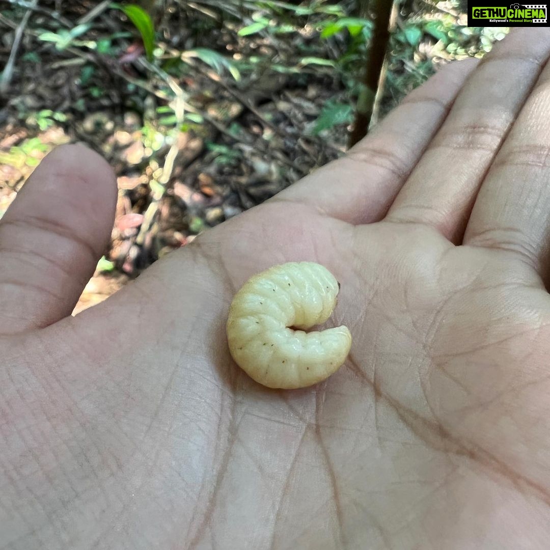 Bhuvan Bam - 1.5 Million Likes - Away from the internet, work, city life and all the hustle bustle, I spent a few days in the middle of the Amazon Rainforest, Brazil.
Went on a hike with monitor lizards, spiders and snakes constantly lurking around. A fascinating yet scary experience!
Main guide se english mein sawaal poochta tha aur woh Portuguese mein jawaab deta tha. Dono khush 🙂