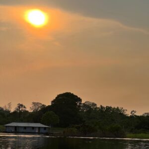 Bhuvan Bam Instagram - Away from the internet, work, city life and all the hustle bustle, I spent a few days in the middle of the Amazon Rainforest, Brazil. 

Went on a hike with monitor lizards, spiders and snakes constantly lurking around. A fascinating yet scary experience!

Main guide se english mein sawaal poochta tha aur woh Portuguese mein jawaab deta tha. Dono khush 🙂