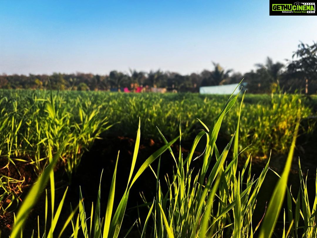 Deeksha Joshi Instagram - What I’ve brought with myself from the Nature’s lap is beyond imagination. I also brought some self realisation and courage from the depths of wild jungles.. Before I begin to get lost in the hustle of city life.. I’d really like to preserve inside and share with you my experience of slowing down. While you scroll the pictures, keep taking deep breaths and imagine being in the middle of dense green. Also spot stars and animal kind in lo-fi. Yes, stars! And that too in clusters! ✨🌱