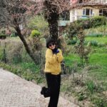 Deeksha Joshi Instagram - It’s spring! Cherry blossoms! In full bloom! Hope! Victory! Cherry blossoms of youth! Cherry blossoms of happiness enduring the bitter winter to bloom in profusion! - Daisaku Ikeda When the petals from these Cherry Blossoms fell on my hair, I felt ensured by the universe that it will all ultimately come to fruition. Winter shall turn into Spring! And it is I who has to keep trusting my journey. 🌸 P.S. The last picture reminds me of Joe from Little Women. A character I am dyingggg to perform and live!