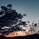Deeksha Joshi Instagram - Often we forget to look at the skies and let them settle inside our hearts. #photodump