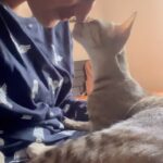 Deeksha Joshi Instagram - My Happy place!! These are @himadri_mahesh ‘s kittens! @myo.and.ponyo came sometime after I met these beautiful babies 😻🥹❤️ Cats have sooooooo much love to give if you let them just be! I’m learning how to let go, how to be in the moment ,how to unconditionally spread joy and how to be unapologetically honest from my furry babies. ♥️♥️