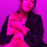 Deeksha Joshi Instagram - Someone likes party lights! 😸 @myo.and.ponyo