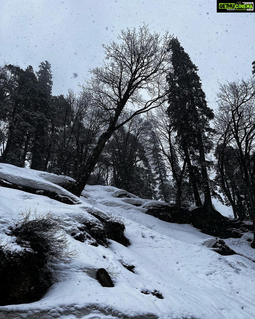 Deeksha Joshi Instagram - I witnessed this ♥️🫶 Manali, Himachal Pradesh