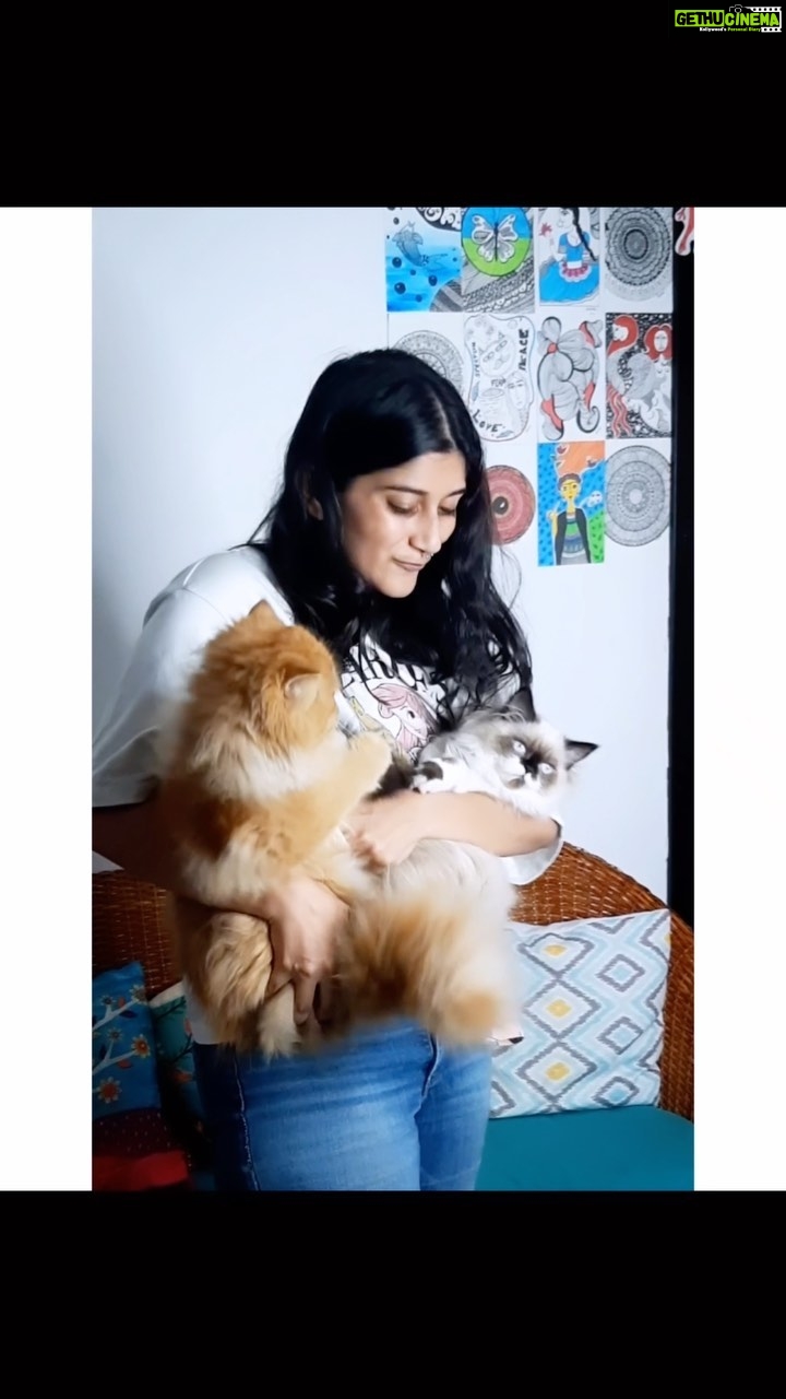 Deeksha Joshi Instagram - Thank you @iamnikul_ for capturing the essence of my relationship with the babies @myo.and.ponyo so wonderfully 🥹♥️ Will cherish this forever ✨ P.S. Also behind is my work in progress wall of art 🌼