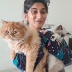 Deeksha Joshi Instagram - Myo and Ponyo🥹🥹 #lifelines ♥️