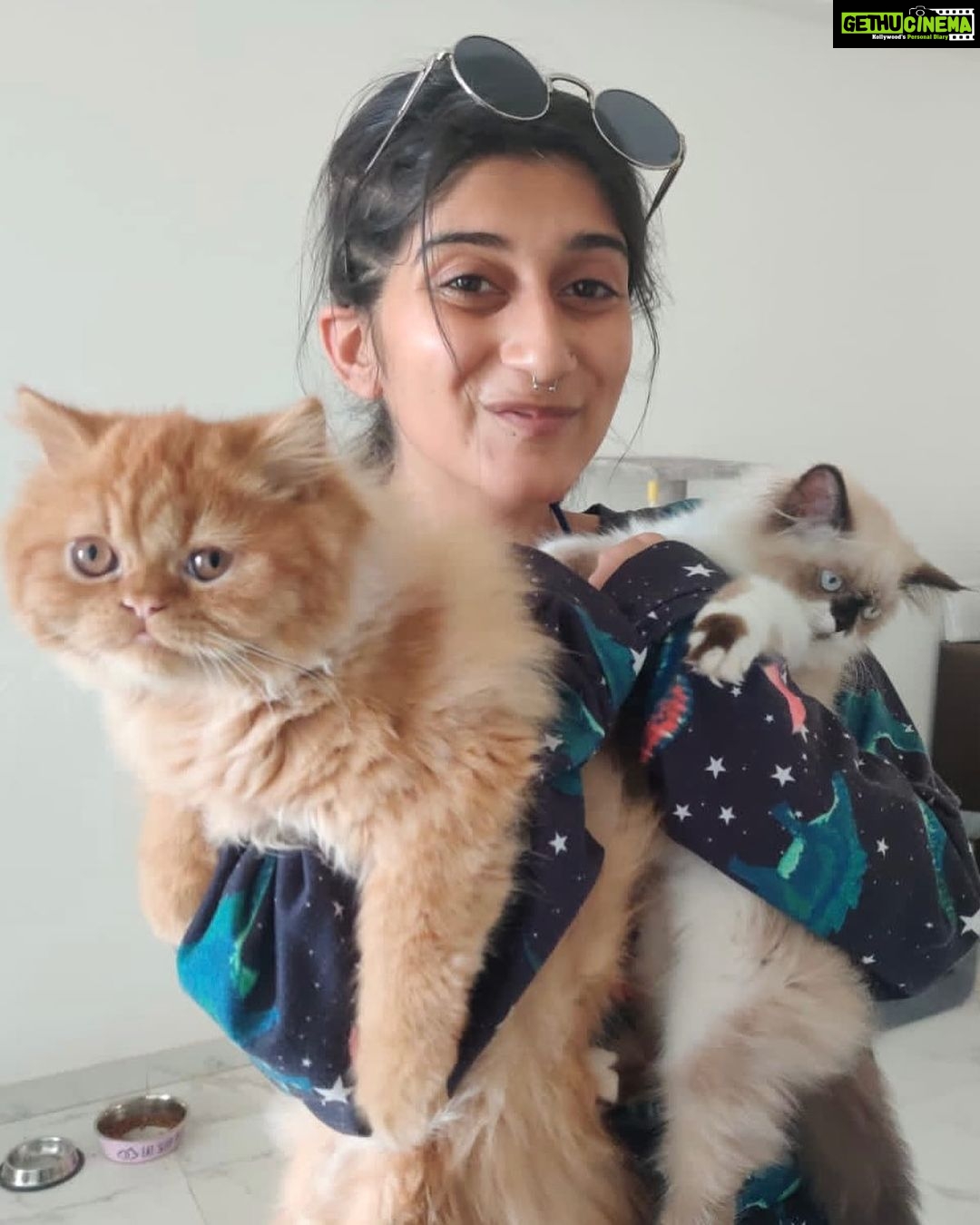 Deeksha Joshi Instagram - Myo and Ponyo🥹🥹 #lifelines ♥️