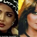 Deepshikha Nagpal Instagram - Happy birthday to my fav #parveenbabi . . You were the best. ❤️. . . #happybirthday #missyou #🙏 #bollywoodactor