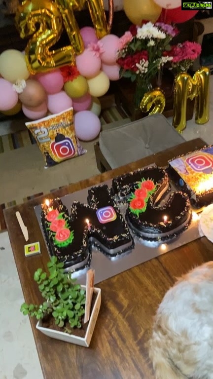 Devoleena Bhattacharjee Instagram -