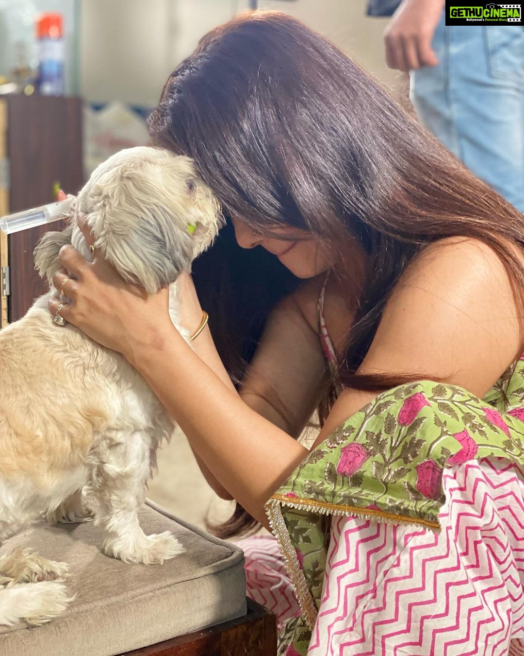 Devoleena Bhattacharjee Instagram - Life is indeed beautiful with you my baby @angel_bhattacharjee ❤️ . . #blessed #grateful #love #petparent #devoleena #angelbhattacharjee Mumbai, Maharashtra
