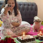 Devoleena Bhattacharjee Instagram - Hmmm 9 years🥰🙌🏻what to say..I am grateful and will always be to each and everyone for everything.Keep me in your prayers and keep loving me always. From Preeto to Sathiya to Biggboss the love i have recieved from you all is the strength that i keep fighting & moving on in life with pride & dignity. I LOVE YOU ALL.❤️ @dheeraj_kumarcel Sir @msrashmi2002_ mam @pawankumarmarut sir @endemolshineind Thank you sooo much for giving me the oppurtunities that i have been part of❤️🙏🏻. @anima_maa thank you Maa for your love and blessings🙏🏻😊🤗❤️.Love to all my fans ,friends,well wishers❤️🥰.And thank you @kunapareddyveera37 & Sagar for the cakes & flowers❤️🤗 . . . #9yearsandcounting #blessings #gratitude