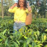 Devoleena Bhattacharjee Instagram - Axom dekhor baagisare suali…😍❤️👸 #devoleena #assam #teagarden #assamesegirl #reelitfeelit❤️❤️ #instagramreel #instagramvideo #kookie #shooting #film #awesomeassam Guwahati, Assam