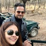 Devoleena Bhattacharjee Instagram - Uff !! The Rarest Sight. I personally feel its like a once in a lifetime spotting. #Noor and #T101 , i named him #sikander. How gorgeous you too ! ❤️🥰 Thank you for adding up this moment into our lives forever. I love you both. Videos are coming soon 🥰❤️ . . . #morningsafari #ranthamborenationalpark #devoleena #rajasthantourism #myspiritanimal Ranthambore - the land of Tigers (Sawai Madhopur)