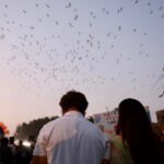 Digangana Suryavanshi Instagram - Very happy to have been a part of #BharatJodoYatra 🙏🏻 Thank you Rajasthan for the warm welcome and wonderful hospitality 🙏🏻 Thank you @rahulgandhi ji @priyankagandhivadra ji 🙏🏻 @myshka_fashion X @rimadidthat