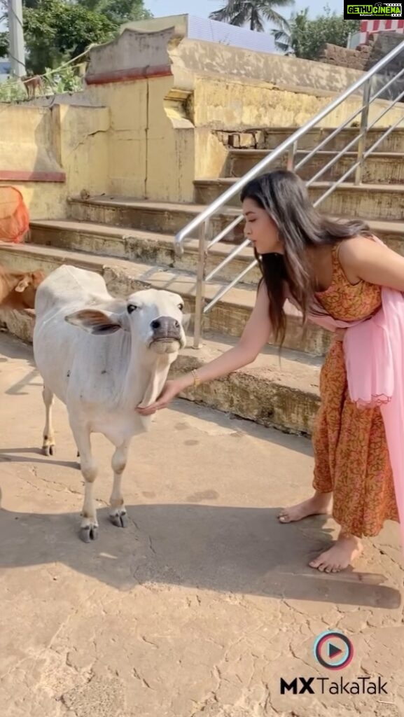 Digangana Suryavanshi Instagram - My love ❤️ wish we live in a world soon where animals have the freedom to live their natural life expectancy... and die also naturally! @mxtakatak #mxtakatak #takatak Collab @mediatribein