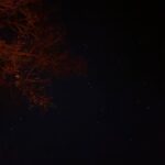 Digangana Suryavanshi Instagram – A legit starry night! Haven’t seen so many stars in a while… 🤩 
#Badami #karnataka #shootlife #travel