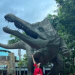 Digangana Suryavanshi Instagram - From a universal day ❤️ @howwhenwearclothing X @vblitzcommunications Universal Studios Singapore