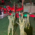 Dipannita Sharma Instagram - Reindeer lighting up the night skies , my drink of the trip ( ginger cinnamon latte ) , the laze daze mornings at breakfast … random favourite moments ♥️ @dilsheratwal #holidays #rasalkhaimah #uae #us #lamhe