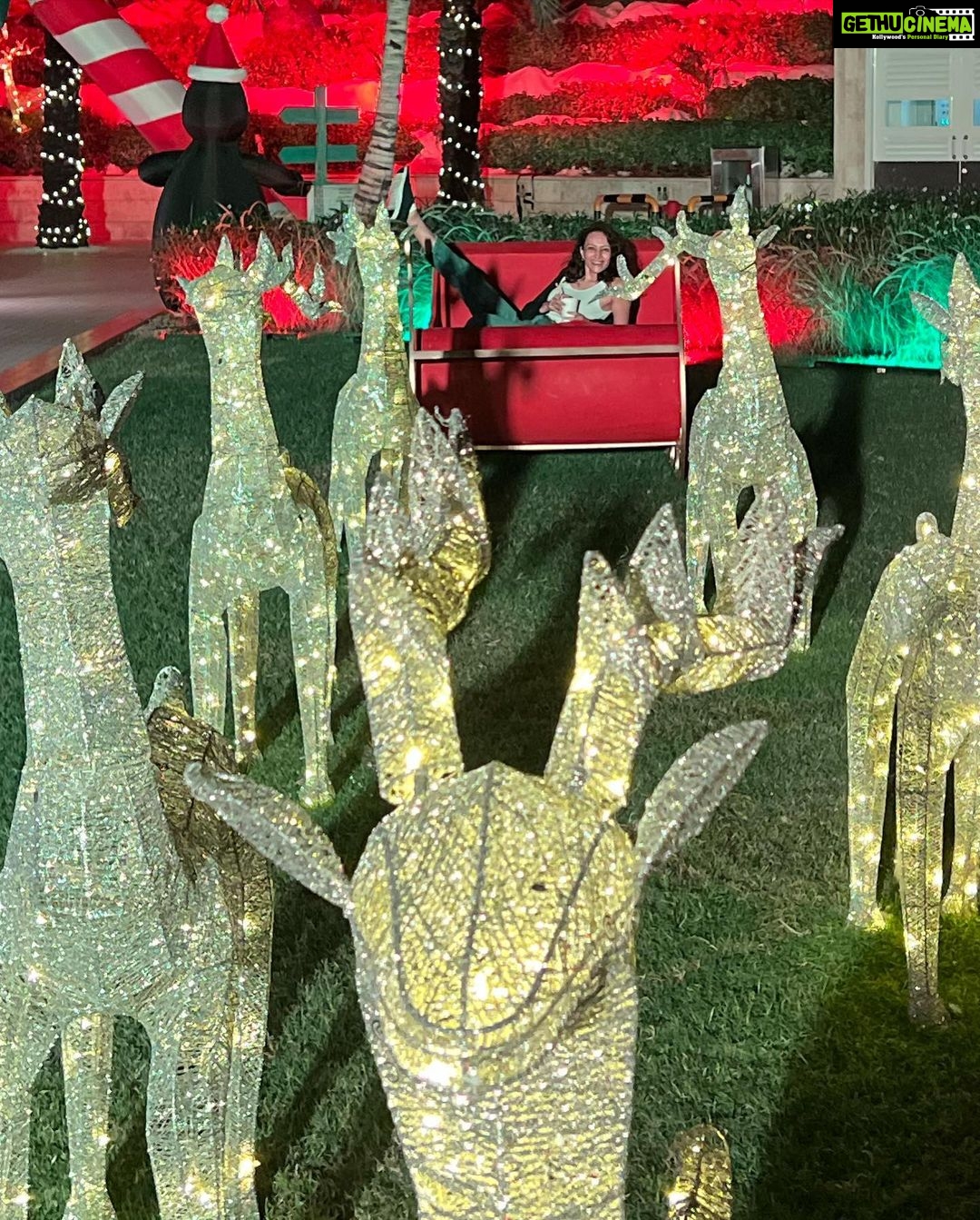 Dipannita Sharma Instagram - Reindeer lighting up the night skies , my drink of the trip ( ginger cinnamon latte ) , the laze daze mornings at breakfast … random favourite moments ♥️ @dilsheratwal #holidays #rasalkhaimah #uae #us #lamhe