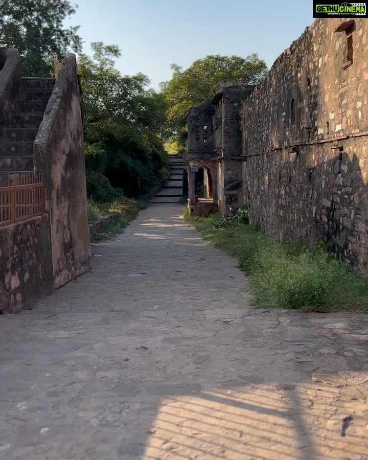 Disha Parmar Instagram - Field Trip to Heritage 💫✨ #RanthamboreFort Ranthambore Fort and Forest