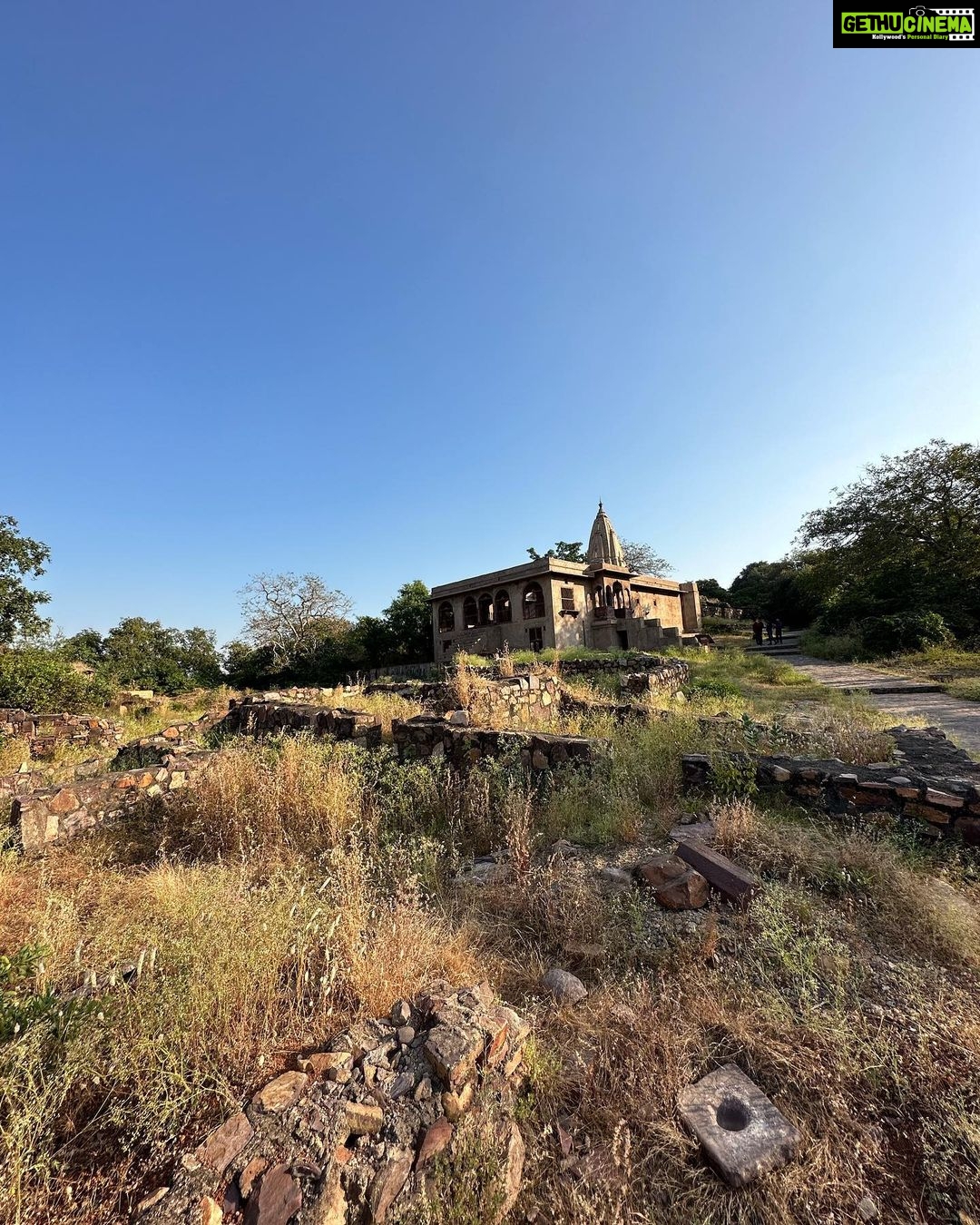 Disha Parmar Instagram - Field Trip to Heritage 💫✨ #RanthamboreFort Ranthambore Fort and Forest
