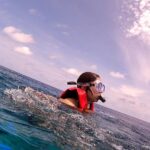 Disha Parmar Instagram - Being Fishy 🐟 in the Sea 🌊