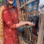 Divya Pillai Instagram - Simple joys of life🤍 #goatworthy #literally 😜 #location #fun @shefeekkintesanthosham #simplejoys #happiness #love #innocent #creature #nature #animals #backyard #farm #goat #goatsofinstagram #animalsofinstagram #kerala #keralagram #instagramreels #reelitfeelit #reelsinstagram #reelkarofeelkaro Kerala - God's Own Country