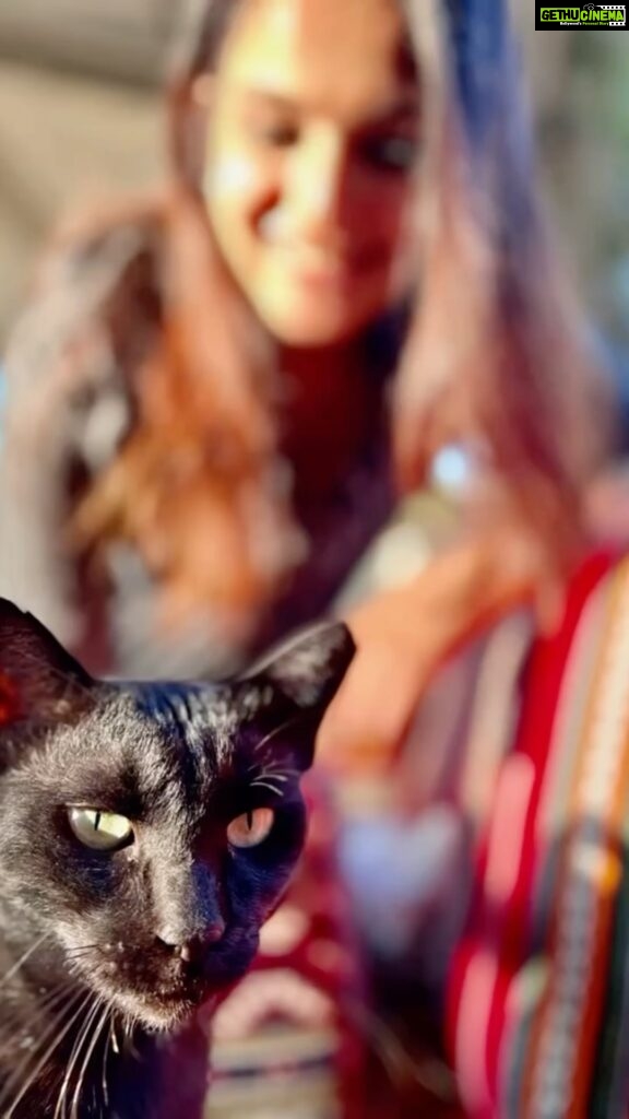 Divya Pillai Instagram - Fierce like a panther🖤 but he just a meaw meaw😇🤗🤗 #blackpanther #notreally #just a #meawmeaw 😁 Photo courtesy @iarjunphotography