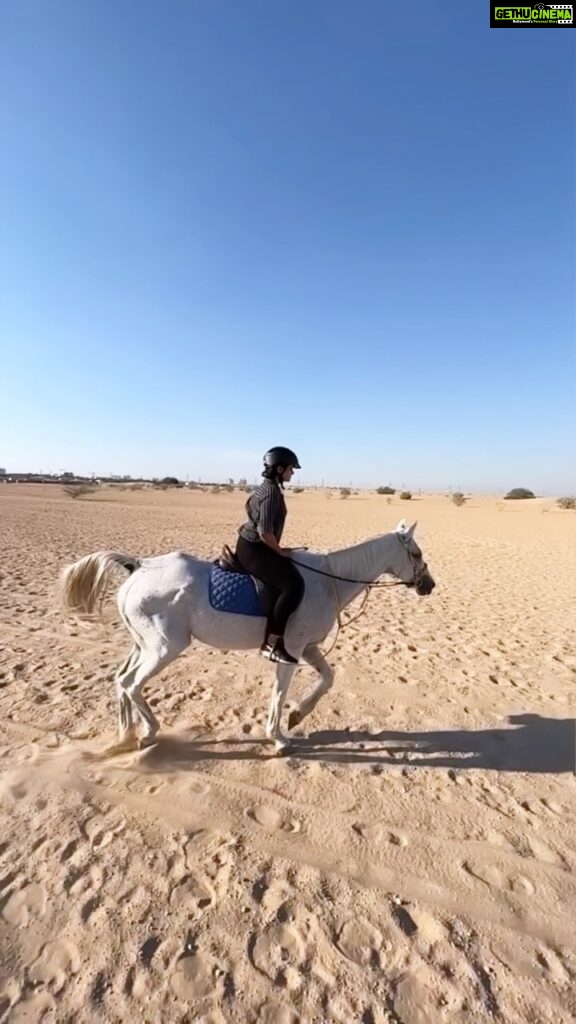 Divya Pillai Instagram - In riding a horse we borrow freedom - An escape from the world, Excercise in fresh air, Adrenaline rushes, Healing through the bond, Goosebumps from perfect harmony🤍 #arabianhorse #horsesofinstagram #horses #horseriding #equastrian #horselover #horsepower #horses #horsephotographer #love #horselove #ilovemyhorse 🤍 Al Ali Stables