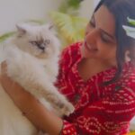 Divya Pillai Instagram - Bailey & I ❤️ 📸🤳🎥 @dia_actress #bailey #catstagram #cats #catsofinstagram #cute #love #petsofinstagram #pet #petlovers #petlover #petfriendly #petphotography #❤️ #kitten #himalayan #kittycat #love #happiness #reelsinstagram #reelsvideo #reelsinsta #reelindia