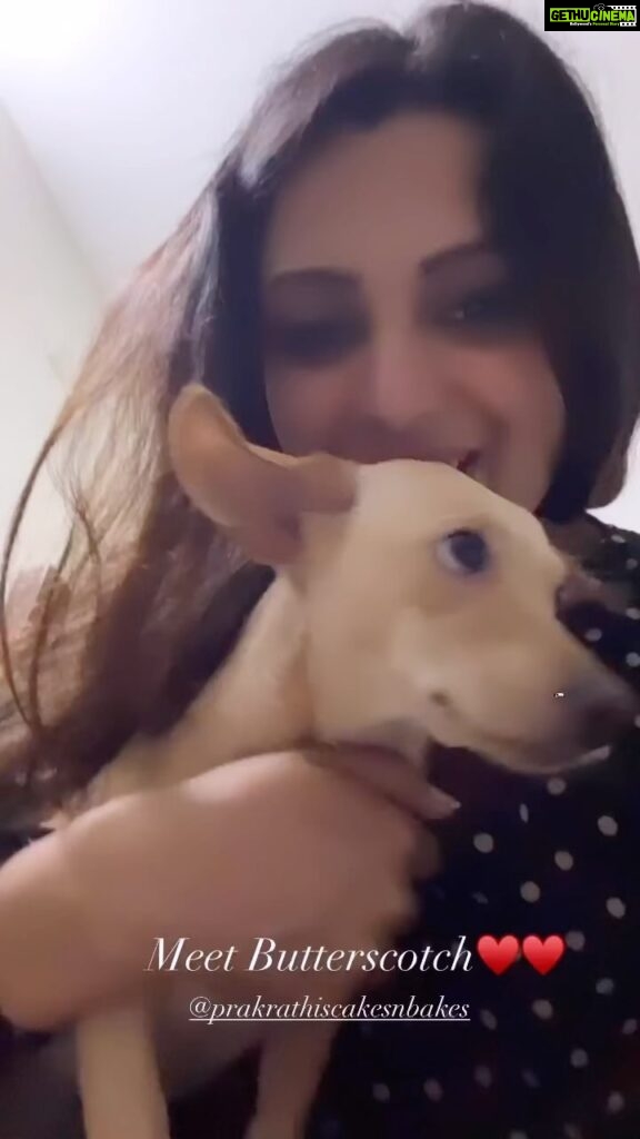 Divya Pillai Instagram - Off to puppy school! Missing my two babies #rolex #dilli #puppylove #puppiesofinstagram #pupper #puppies #love #dogsofinstagram #reelsinstagram #reels #reelsvideo #reelsinsta