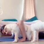 Divya Pillai Instagram - Two little monsters!! 🥴🧿 #workoutmotivation #puppiesofinstagram #rolex #dilli #naughtiness #overload #reels #reelsinstagram #reelsvideo #reelkarofeelkaro #reelitfeelit #reelsinsta
