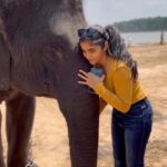 Divya Uruduga Instagram - This cutest little giant!♥️🐘 embraced him with all my heart! 💛🖤 #divyauruduga #divyau #du #D #uruduga #DU #DUvians #thirthahalli #d #shivamoga #kpdu #arviya #arviyans #arya #preetiirali #live #love #laugh #peace #positivity #🧿