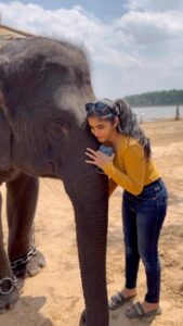 Divya Uruduga Instagram - This cutest little giant!♥️🐘 embraced him with all my heart! 

💛🖤

#divyauruduga #divyau #du #D #uruduga #DU  #DUvians  #thirthahalli #d #shivamoga #kpdu  #arviya #arviyans #arya #preetiirali #live #love #laugh  #peace #positivity #🧿