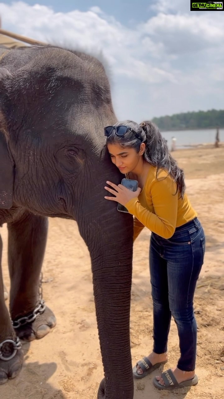 Divya Uruduga - 181K Likes - This cutest little giant!♥️🐘 embraced him with all my heart!
💛🖤
#divyauruduga #divyau #du #D #uruduga #DU #DUvians #thirthahalli #d #shivamoga #kpdu #arviya #arviyans #arya #preetiirali #live #love #laugh #peace #positivity #🧿
